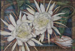 Night Blooming Cerius
